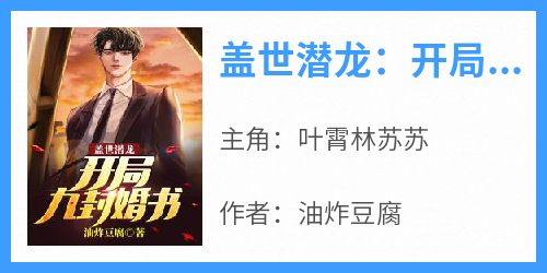 盖世潜龙：开局九封婚书