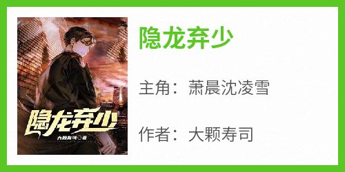 隐龙弃少