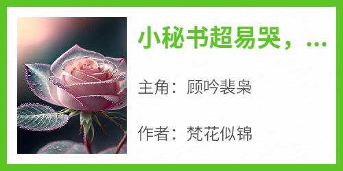 小秘书超易哭，财阀大佬凶不得