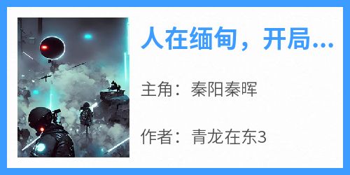人在缅甸，开局替天行道赚万金
