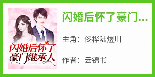 闪婚后怀了豪门继承人