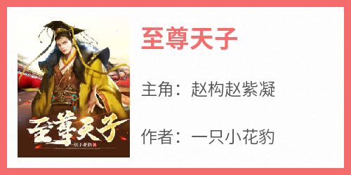 至尊天子