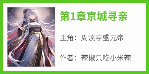 第1章京城寻亲