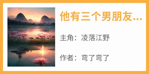 他有三个男朋友凌落