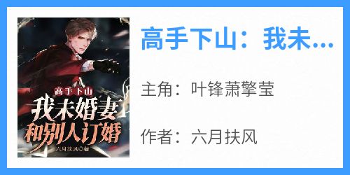 高手下山：我未婚妻和别人订婚？