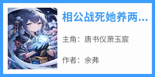 相公战死她养两儿一女冠绝京城