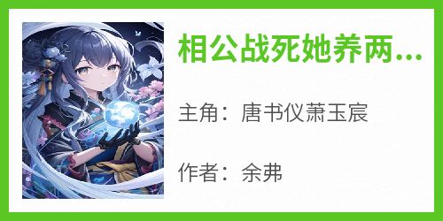 相公战死她养两儿一女冠绝京城