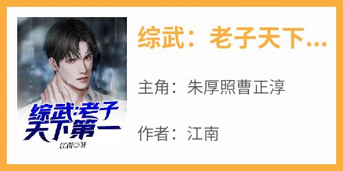 综武：老子天下第一
