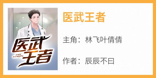 医武王者