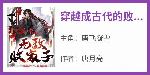 穿越成古代的败家子看我一路扶摇直上