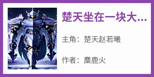 楚天坐在一块大石头上