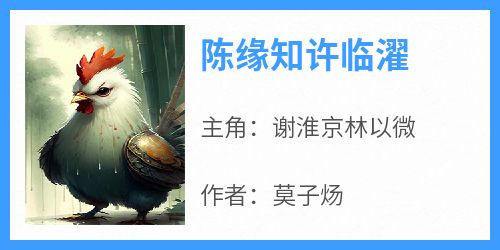 陈缘知许临濯