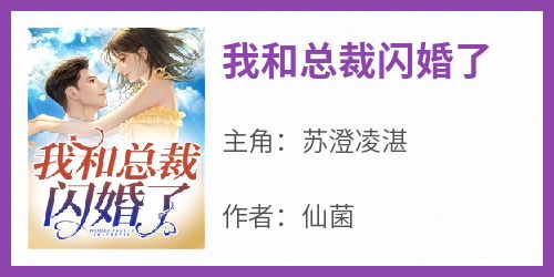 我和总裁闪婚了