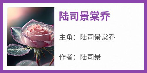 陆司景棠乔