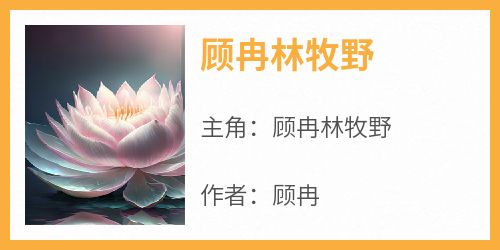 顾冉林牧野