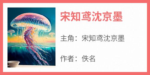 宋知鸢沈京墨