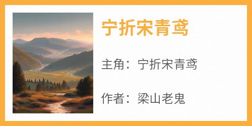 宁折宋青鸢