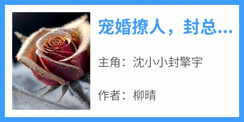 宠婚撩人，封总请求不出局