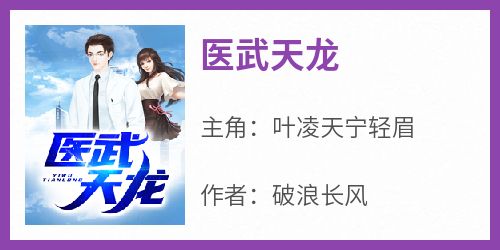 医武天龙