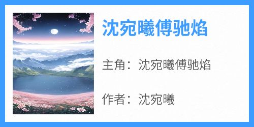 沈宛曦傅驰焰