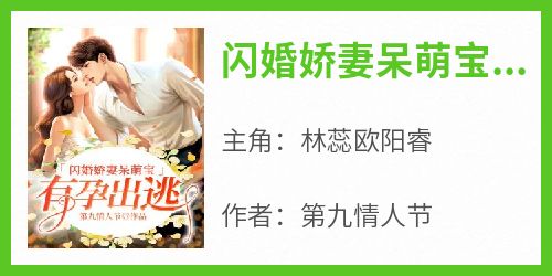 闪婚娇妻呆萌宝：有孕出逃