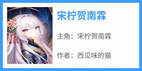 宋柠贺南霖