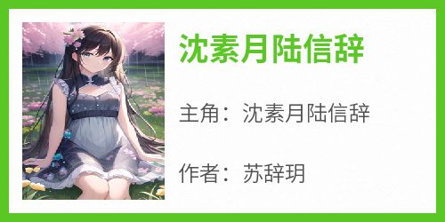 沈素月陆信辞