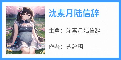 沈素月陆信辞