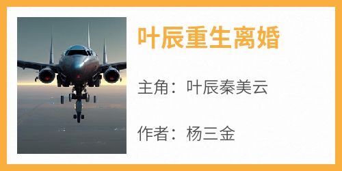 叶辰重生离婚