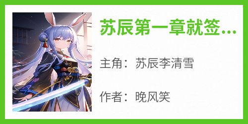 苏辰第一章就签离婚协议