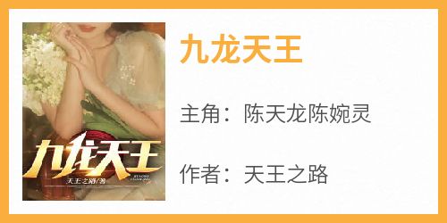 九龙天王