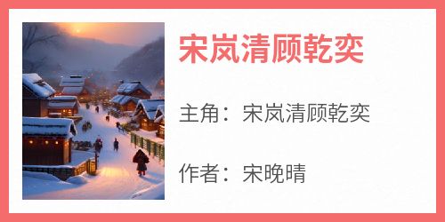 宋岚清顾乾奕