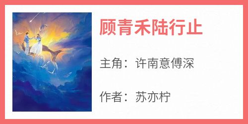 顾青禾陆行止