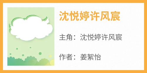 沈悦婷许风宸
