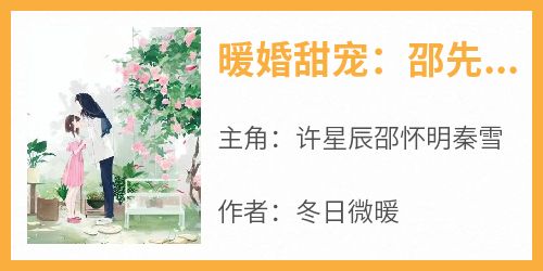 暖婚甜宠：邵先生宠妻成瘾