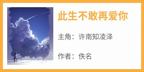 此生不敢再爱你