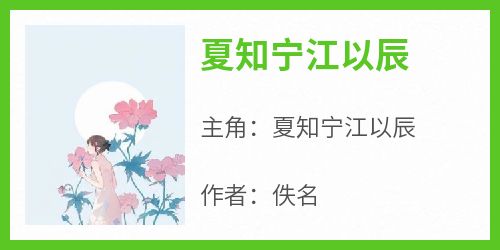 夏知宁江以辰