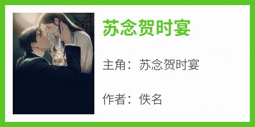 苏念贺时宴
