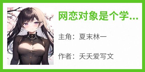 网恋对象是个学渣