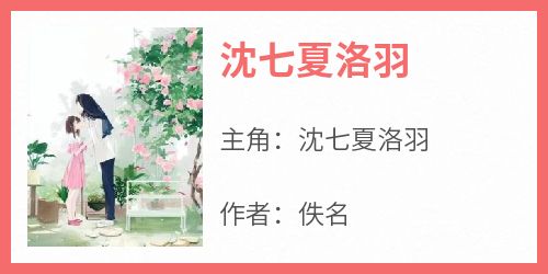 沈七夏洛羽