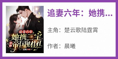 追妻六年：她携三宝掀翻帝国财团
