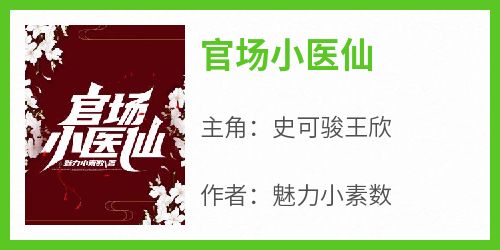 官场小医仙