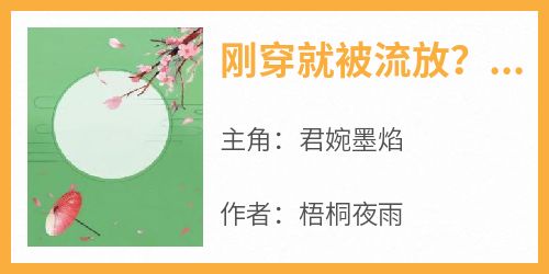刚穿就被流放？先搬空敌人库房再说