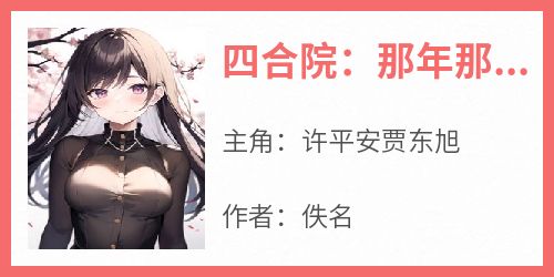 四合院：那年那人那些事