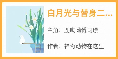 白月光与替身二三事