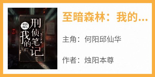 至暗森林：我的刑侦笔记
