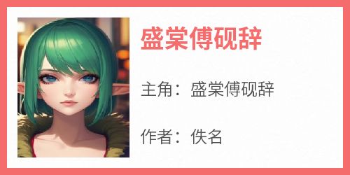 盛棠傅砚辞