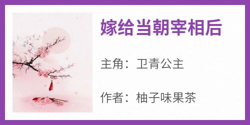 嫁给当朝宰相后
