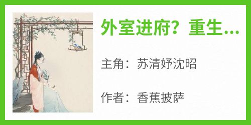 外室进府？重生三媒六聘改嫁首辅