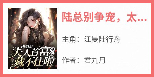 陆总别争宠，太太一心为国争光